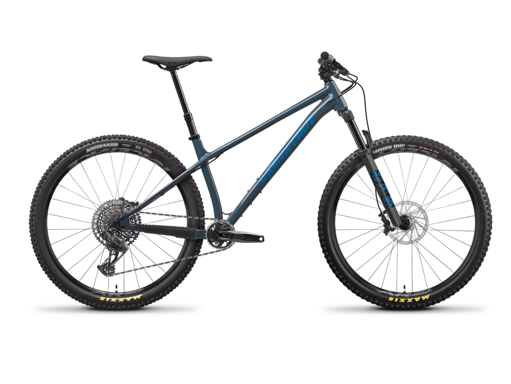 Santa Cruz Chameleon